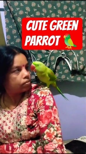 Talking parrot gif 🦜❤️😀#parrot #shorts #ringneck #talkingparrot #viral #video #youtube #gif