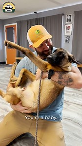Rescuing the sweetest blind boy, he was so close to being euthanized ❤️ thank you deeply Family Dogs New Life Shelter for saving him! | The Asher House