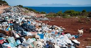 64 countries pledge to reverse biodiversity loss by 2030