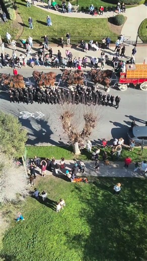 The iconic Budweiser Clydesdales made an appearance today in San Francisco with Sunday’s big game just days away! SFPD’s Traffic Company and Special Operations Bureau had the privilege of escorting them along their route through our beautiful city. | San Francisco Police Department