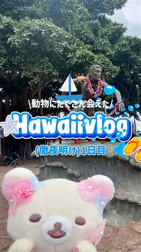 動物にたくさん会えたハワイ1日目vlog with コリラックマ #hawaii