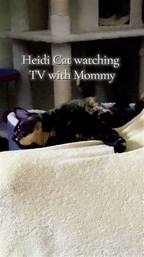 How does Heidi watch TV? Episode 2.10