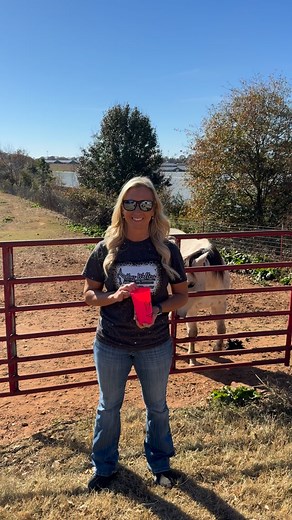 Who’s the Daddy round 12 winner is … #flingingwonders #stallion #AQHA #colt #kaywaltersinsurance #TeamKW | Kay Walters - Equine Insurance