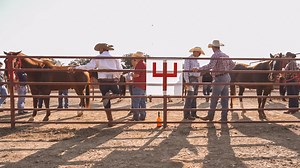 12K views · 148 reactions | Six ranches. Twenty-six years. A legacy built on hard work, dedication, and an unwavering commitment to excellence–forged through integrity, grit, and generations of quality horses. ️September 26–27, 2025 Four Sixes Ranch – Guthrie, Texas | National Cutting Horse Association | Facebook