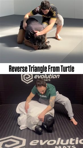 Reverse Triangle From Turtle