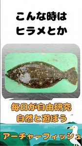 【釣り人必見！大物が釣れるチャンスはいつ】ペッパーくんの 豆知識 14