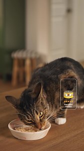 With Chewy, get your pet's mealtime match delivered fast. Any need for any breed at a price you'll love. | Chewy