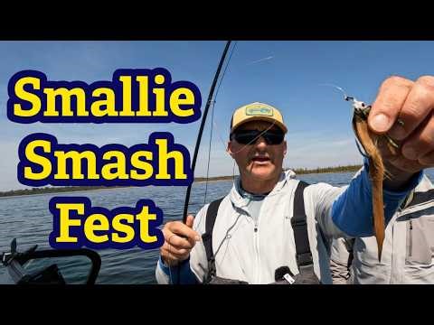 Fly Fishing Smallmouth