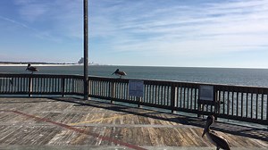 29K views · 1.7K reactions | Today's view from the Gulf State Park Fishing Pier. Have you ever visited the pier? | Visit Alabama's Beaches | Facebook