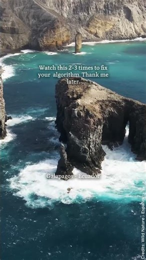 Hack Your Feed: More Nature, Less Stress 🌿✨