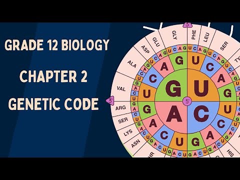 Grade 12 Biology: Chapter 2 - Genetic Code