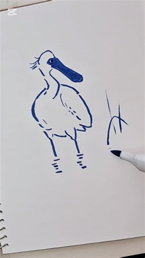 Black-faced spoonbill sketching #Bird sketching