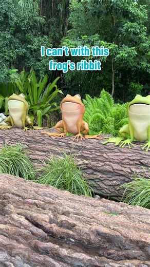 This frogs ribbit is hilarious #frog #ribbit #ribbits #froggy #frogs