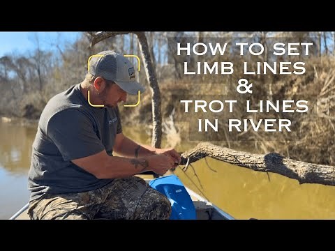 How To Set Limb Line Bush Hooks and Trot Lines in River
