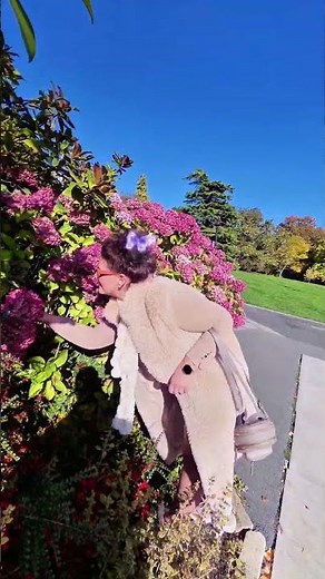Harrogate Valley Gardens in Autumn | Relaxing Nature Walk in UK 🇬🇧