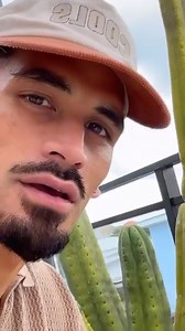 Cactimas Tree 🌵🎅🏽 #tbt | William Waiirua