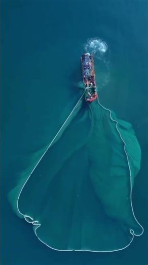 This Boat Needs To Be Stopped Very Quickly 😱