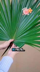 Mira este arreglo floral con hojas de palma… ¡el resultado final te encantará!🌹🌹 ¿Te gustaría aprender a hacerlo? En mi curso online te enseño paso a paso a desarrollar tu creatividad floral 💐💐💐 🌹🌹🌹Comenta “Yo quiero” y te envío la información para inscribirte con descuento especial. ¡Empieza hoy a crear belleza con tus manos! 🌿💐✨ #DiseñoFloral #CursoOnline #CreatividadFloral #FloresConEstilo #ArreglosFlorales #AprendeConmigo #LinkEnBio #FloralLovers | creacionesartee