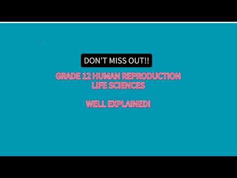 Grade 12 Life Sciences: Human Reproduction Explained - Part 1