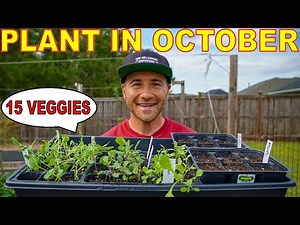 15 Veggies You Can STILL Plant In October For A Beautiful Fall Garden