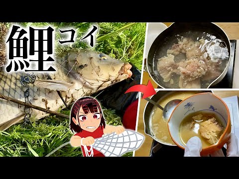 【投網】その辺の川にいるデカいコイで作る郷土料理が美味い！！！【鯉こく】