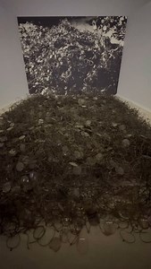 Glasses taken from victims of Auschwitz. #Auschwitz #history #holocaust #glasses #memorial | Auschwitz Memorial / Muzeum Auschwitz