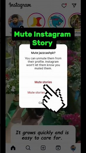 How to mute someone story on Instagram 2025| How to mute story on Instagram