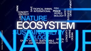 Ecosystem animated word cloud, text design animation.