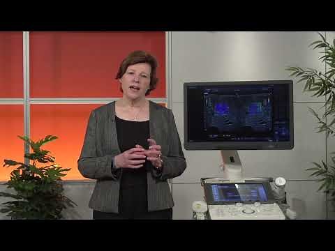 Precision in Measurements for Shear Wave Elastography