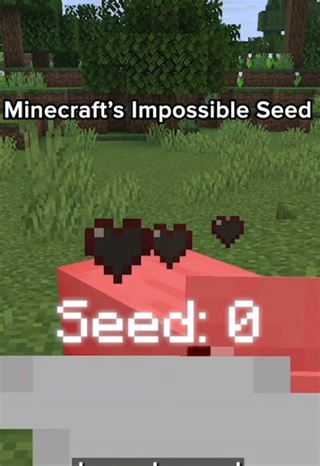 Seed number 0 is almost impossible to get. #minecraft #seedzero #minecraftlore #gaming @Minecraft