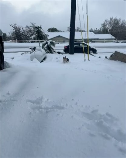 City of Tehachapi, CA Government on Reels