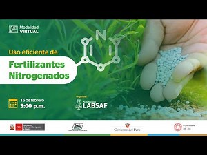 Uso eficiente de los fertilizantes nitrogenados