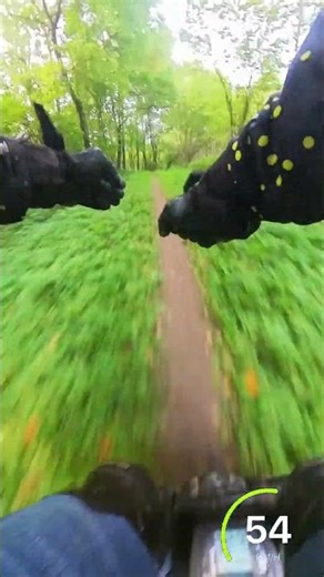 A Masterclass in Cornering