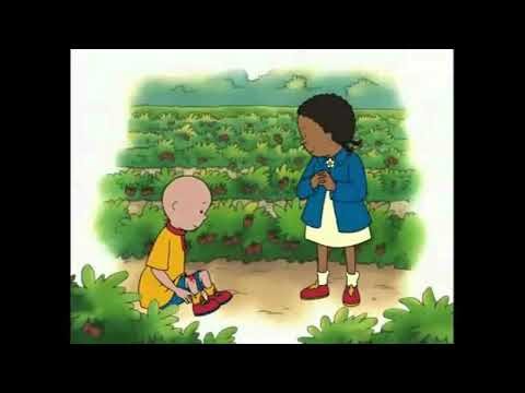 Caillou Goes Strawberry Picking/Caillou's Nightmare