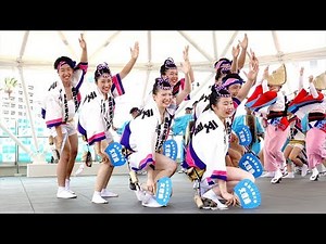 芸術的な阿波おどり「徳島文理大学連」徳島夏の阿波おどり2018@アミコドーム
