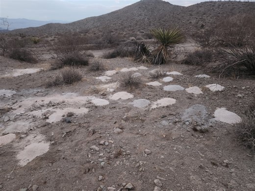 Piles of human cremated remains discovered outside Las Vegas