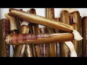 HOW TO USE RAZOR FISH FOR SEA FISHING - BAITING UP USING RAZOR FISH