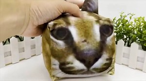 Watch Floppa Plush cat on Amazon Live