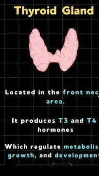 🧠 Endocrine System , thyroid gland. Explained in 60 Seconds | #Human Anatomy #shorts