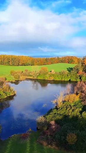 Rossmore Forest Park in all its autumn glory! 🍂😍 with thanks to @baotrinh465 #mymonaghan #moretomonaghan #keepdiscovering | Monaghan Tourism