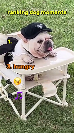 ranking doh moments #cute #viral #amazing #usa