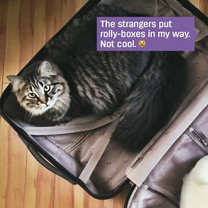 7K views · 108 reactions | "Home for the Holidays" brings us great...