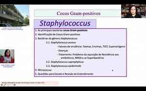 Cocos Gram-positivos: Staphylococcus