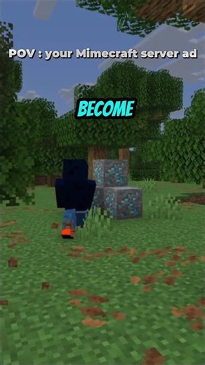 POV : Your Minecraft Server ad