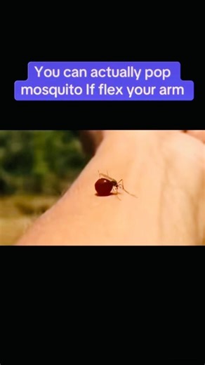 You can actually pop mosquito If flex your arm😂