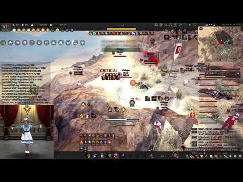 BDO Awakening Sage after a nerf 206kills montage