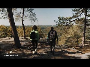 Mullerthal Trail Highlights