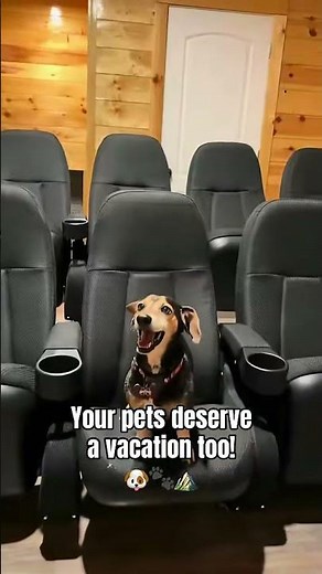 Your pets deserve a Smoky Mountain getaway too! 🐾🏔️