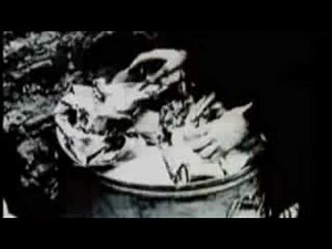 Primus - American Life