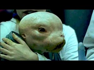 Alien Human Hybrids, Among Us